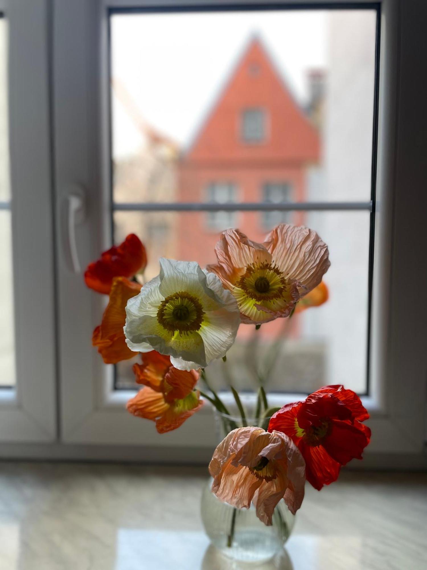 Kolysanka Private Rooms In Old Town Poznan Exterior photo